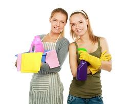 furniture cleaners w2