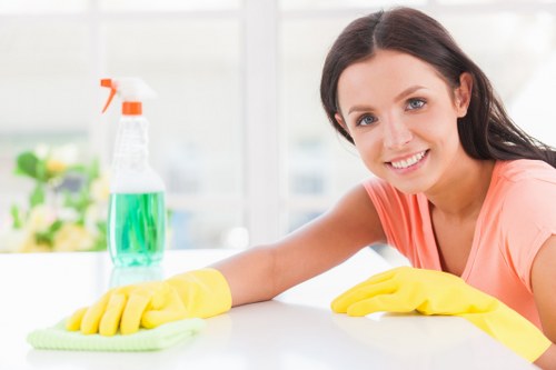 Deep cleaning tools and organized cleaning supplies