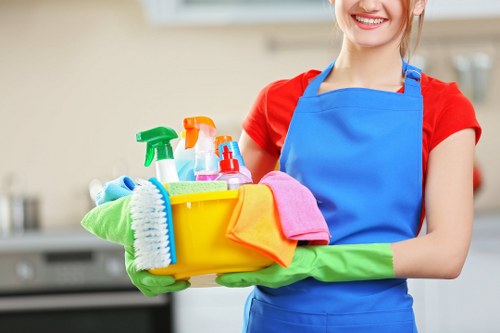 Clean carpet being refreshed in a bright living room