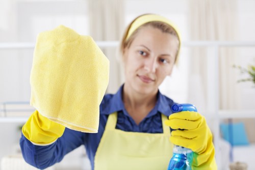 Professional upholstery cleaning on a fabric sofa