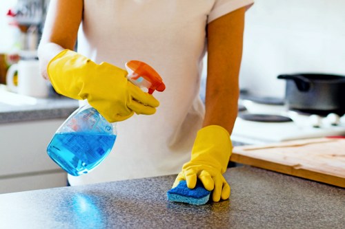 Technician performing streak-free window cleaning