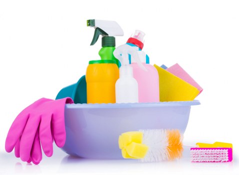 Professional rug cleaning tools and care