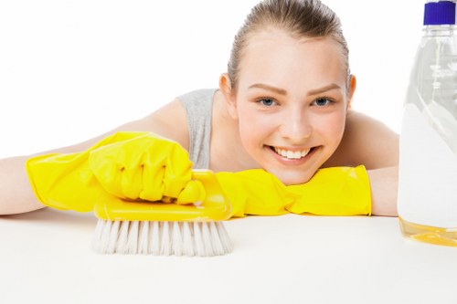 Clean and fresh living room furniture after upholstery cleaning