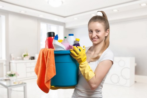 Bathroom sanitation and limescale removal in a rental home